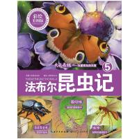 法布尔昆虫记 大孔雀蛾 9787535468161 正版 （法）法布尔 原著 新奇遇文化 编绘 长江文艺出版社