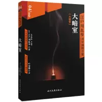 江户川乱步青年侦探全集 大暗室 9787538752120 正版 江户川乱步