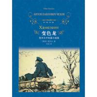 变色龙:契河夫中短篇小说集 9787544714464 正版