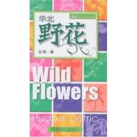 华北野花 9787503852442 正版 王辰 中国林业出版社