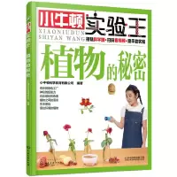小牛顿实验王 9787122319098 正版 小牛顿科学教育有限公司 编著 化学工业出版社