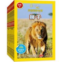 初级.B 9787558044588 正版 艾弗里·伊丽莎白·赫特 江苏凤凰美术出版社