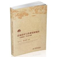 县域农村与农业发展调查——以麻城市、罗田县为例 9787568034074 正版 龙子午,夏佐铎 华中科技大学出版社