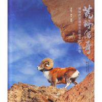 荒野传奇 神秘的新疆塔尔巴哈台野生动物 9787214114259 正版 贺振平 著作 江苏人民出版社