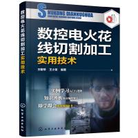 数控电火花线切割加工实用技术 9787122328045 正版 王朝琴,王小荣 编著 化学工业出版社