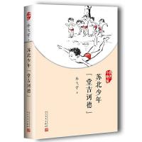 苏北少年堂吉诃德(我们小时候) 9787020126941 正版 毕飞宇 人民文学出版社