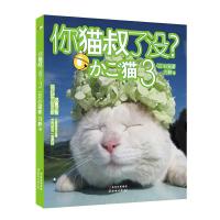 你猫叔了没 9787538556902 正版 (日)白猫 北方妇女儿童出版社