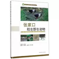 张家口陆生野生动物 9787503881565 正版 王* 中国林业出版社