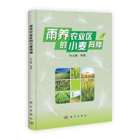 雨养农业区的小麦育种 9787030319562 正版 任正隆 等著 科学出版社