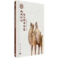 太原沙沟隋代斛律徹墓 9787030519795 正版 山西省考古研究所 科学出版社