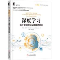 深度学习:基于案例理解深度神经网络 9787111637103 正版 翁贝托·米凯卢奇