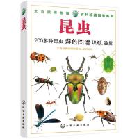 昆虫 9787122332943 正版 大自然博物馆编委会 组织编写 化学工业出版社