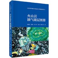 火山岩油气藏的形成机制与分布规律研究丛书 火山岩油气 9787030479228 正版 朱如凯 等 科学出版社