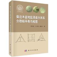 柴达木盆地盐湖卤水体系介稳相平衡与相图 9787030490087 正版 邓天龙 科学出版社