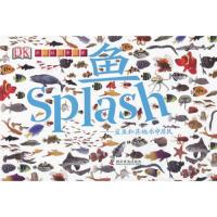 鱼--鲨鱼和其他水中居民 9787110073261 正版 (英)史密斯 编,(英)弗莱彻 设计 科学普及出版社