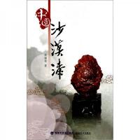 中国沙漠漆 9787539324593 正版 商建堃