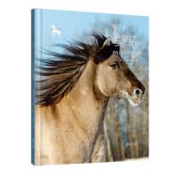 野马 9787533947507 正版 梅利莎·吉什 浙江文艺出版社