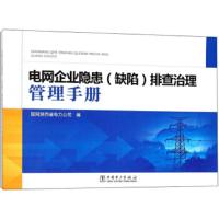 电网企业隐患<缺陷>排查治理管理手册 9787519815493 正版 国网陕西省电力公* 中国电力