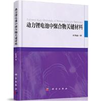 动力锂电池中聚合物关键材料 9787030580290 正版 崔光磊 著 科学出版社