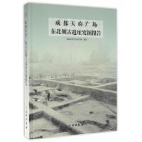 成都天府广场东北侧古遗址考古发掘报告 9787501047895 正版 成都文物考古研究所 编著 文物出版社