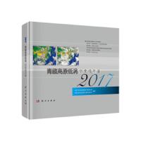 正版 9787030603708 正版 中国气象局成都高原气象研究所