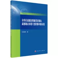 分形在遥感影像地类识别及遥感地表参数尺度转换中的应用 9787030614063 正版 栾海军 科学出版社