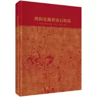洛阳北魏曹连石棺墓 9787030620842 正版 司马国红