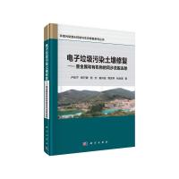 电子垃圾污染土壤修复--重金属和有机物的同步洗脱去除(精) 9787030627698 正版 卢桂宁等 科学出版社