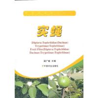 实蝇 9787109158184 正版 梁广勤 中国农业出版社