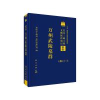 万州武陵墓群 9787030586988 正版 重庆市文物局;重庆市移民局 科学出版社