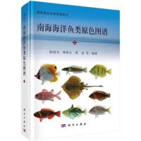 南海海洋鱼类原色图谱 2 9787030605030 正版 陈国宝 科学出版社