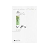 文化研究 9787520105002 正版 陶东风 周宪 社会科学文献出版社