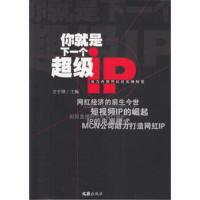 你就是下一个超级iP(成为内容网红的实操秘笈) 9787549621750 正版 方宇锋 文汇出版社