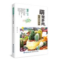 萌宠多肉栽培入门手册 9787533557010 正版 慢生活工坊 福建科技出版社