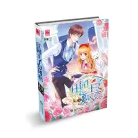 庄园王子夏风恋 9787201110288 正版 茶茶 天津人民出版社