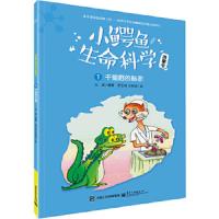 小鳄鱼生命科学故事书(1-3册)(全彩) 9787121301445 正版 王迎 编著 电子工业出版社