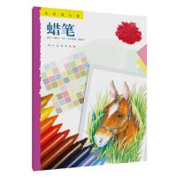 蜡笔 9787102080451 正版 索玛可蕾