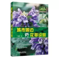 城市周边野花草识别 9787111415039 正版 于顺利 机械工业出版社