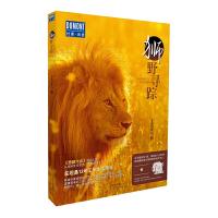 狮野寻踪 9787200149654 正版 非洲的青山 著 北京出版社