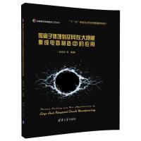 等离子体蚀刻及其在大规模集成电路制造中的应用(高端集成电路制造工艺丛书) 9787302489597 正版 张海洋 等