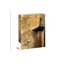 青州龙兴寺佛教造像 9787102066981 正版 青州博物馆 编 人民美术出版社