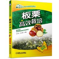板栗高效栽培 9787111474678 正版 王天元,安立春 机械工业出版社