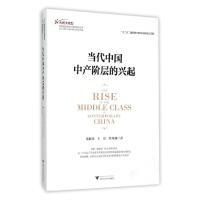 当代中国中产阶层的兴起 9787308152303 正版 苏海南 浙江大学出版社