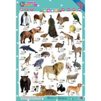 动物世界/趣狗有声挂图 9787111508090 正版 周勇 机械工业出版社