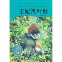 王妃黑叶猴(升级版)/动物小说大王沈石溪品藏书系 9787534264948 正版 沈石溪 著 浙江少年儿童出版社