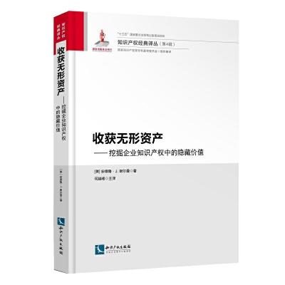 收获无形资产--挖掘企业知识产权中的隐藏价值 9787513051132 正版 (美)安德鲁 J.谢尔曼 知识产权出版社