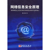 网络信息安全原理 9787030258618 正版 梅挺 著 科学出版社
