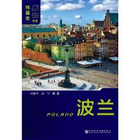 波兰 9787520113540 正版 高德平 高空 社会科学文献出版社