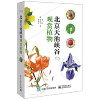北京天池峡谷观赏植物 9787121349973 正版 黄凯","陈之欢","黄体冉 电子工业出版社