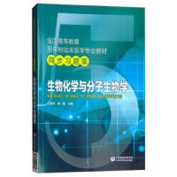 生物化学与分子生物学 9787521405880 正版 王海河","杨霞 中国医药科技出版社